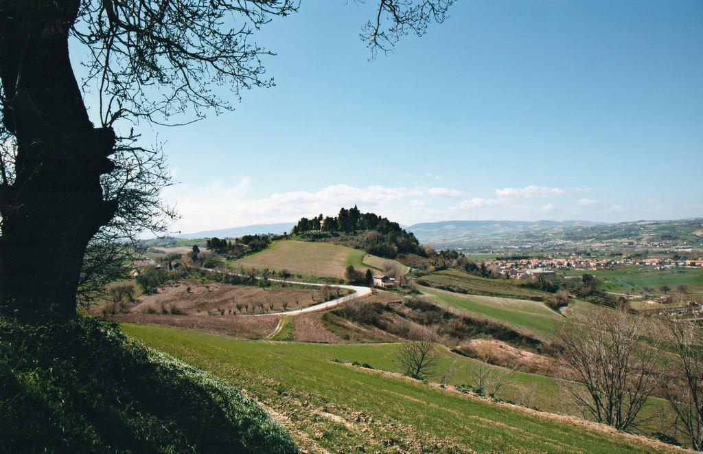 Villa Marietta Country House - Marche Montemaggiore al Metauro Exterior photo